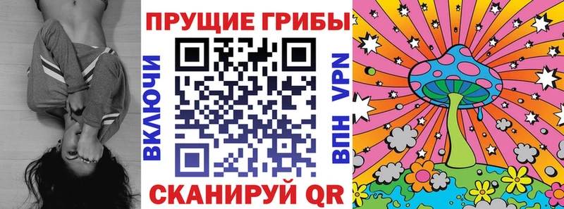 как найти наркотики  Луховицы  Псилоцибиновые грибы прущие грибы 