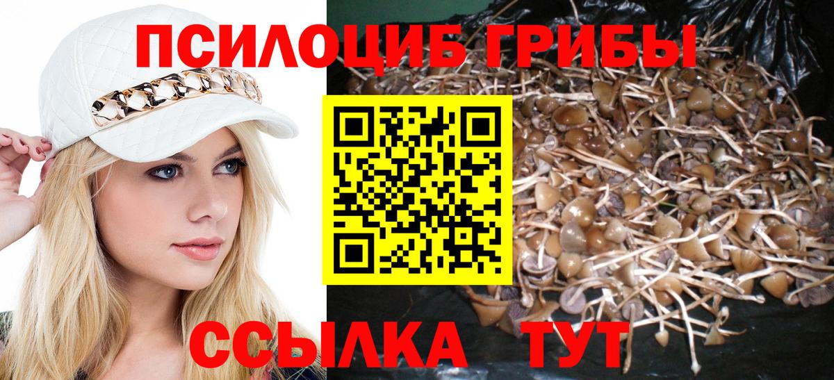 Псилоцибиновые грибы прущие грибы Луховицы